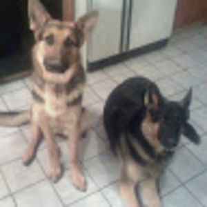 Meet your Posher, Mary anne